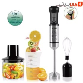 تصویر گوشت کوب و مخلوط کن 4کاره مدل راف R.292 Meat grinder and mixer RAF model R.292