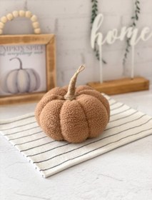 تصویر کدو تدی متوسط قهوه ای 