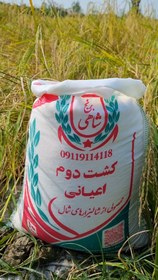 تصویر برنج کشت دوم طارم هاشمی عطری وزن خالص ۶۰ کیلوگرم + ارسال رایگان تا درب منزل 