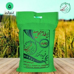 تصویر برنج طارم محلی ارگانیک فریدونکنار (اصیل) امساله 5 کیلویی ارسال رایگان 