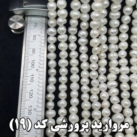 تصویر مروارید پرورشی کد 19 Cultured pearls code 19