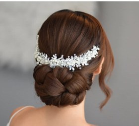 تصویر ریسه مو اروپایی 