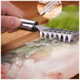 تصویر پولک گیر ماهی استیل 