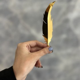 تصویر بال کیک – کد 10 (بسته ۵ عددی) 