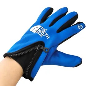 تصویر دستکش طرح نورث فیس 