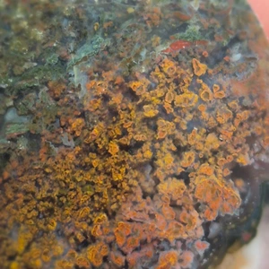 تصویر فروشگاه نگین باز