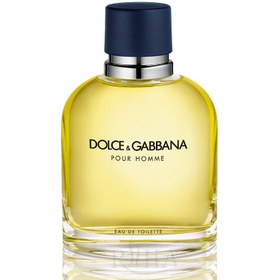 تصویر ادو تویلت مردانه مدل Poure Homme حجم 125 میل دولچه اند گابانا Dolce And Gabbana Eau De Toilette Poure Homme For Men 125ml