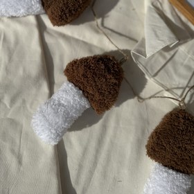 تصویر ریسه قارچ تدی 