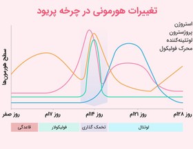 تصویر تست تعیین زمان تخمک گذاری مکث 14 Farafan Max 14 LH Test