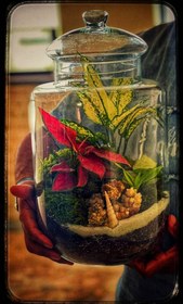 تصویر تراریوم 