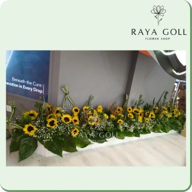 تصویر ریسه گل آفتابگردان 