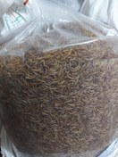 تصویر میلورم خشک شده بسته 5 کیلویی (کرم میلور عمده) mealworm 