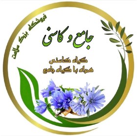 تصویر جامع کاسنی (گیاه کاسنی همراه با گیاه جامع ) 