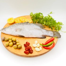 تصویر ماهی سیباس نقره‌ای 