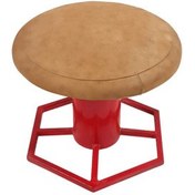 تصویر قارچ ژیمناستیک ۸پر 8-leaf gymnastic mushroom