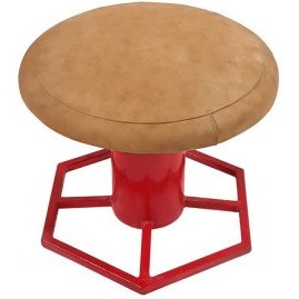 تصویر قارچ ژیمناستیک ۸پر 8-leaf gymnastic mushroom