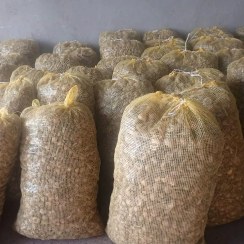 تصویر پیاز زعفران داخل توری 