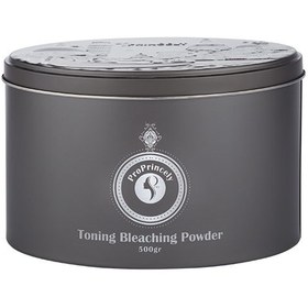 تصویر پودر دکلره تونینگ پرنسلی ۵۰۰ گرم Toning Bleaching Powder