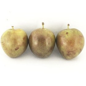 تصویر آلو خاکی 