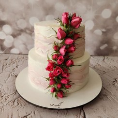 تصویر کیک طبقاتی کیک دو طبقه کیک نامزدی کیک عقد کیک بله برون کیک خامه ای سالگرد ازدواج با فیلینگ ارسال پس کرایه 