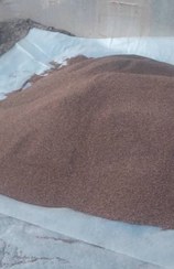 تصویر کنجد سیاه Seed