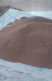 تصویر کنجد سیاه Seed