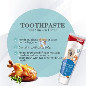 تصویر خمیر دندان سگ بایولاین با طعم مرغ Bioline Toothpaste Chicken Flavor وزن 100 گرم 