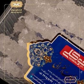 تصویر نبات شاخه ساده Simple branched plant