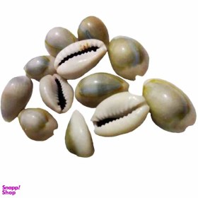 تصویر صدف تزئینی کد A04 بسته 12 عددی 