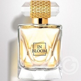 تصویر ادکلن زنانه این بلوم شیکن گلام اورجینال حجم 100 میل Chic n Glam In Bloom Eau de Parfum For Women 