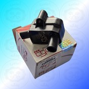 تصویر کوئل شاهین چکاد 