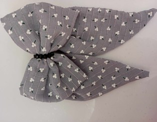 تصویر گیره سر پاپیونی 