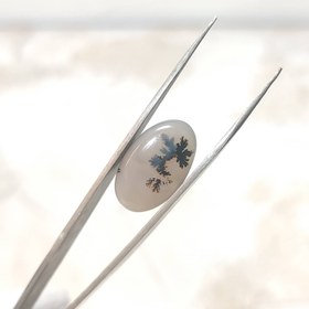 تصویر عقیق شجر قائن اصل کد 27 