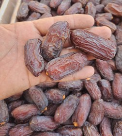 تصویر خرمای مجول 10 کیلو گرم 