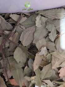 تصویر برگ بو خشک - 75 گرمی Laurus nobilis