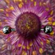 تصویر پیرسینگ استیل ۲۰ میل و ۲۲ میل 