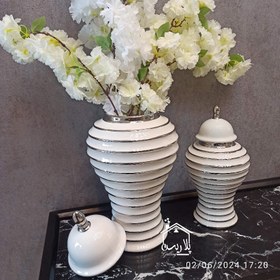 تصویر جینجرجار سرامیکی(منظومه)سفید سیلور ۱۸۰۴۸ 