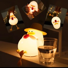 تصویر آباژور شب خواب اردک 