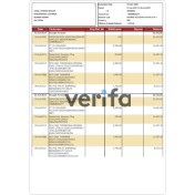 تصویر فایل صورتحساب بانکی هند لایه باز 