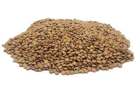 تصویر عدس آش - ۱ کیلوگرم 