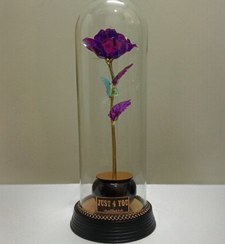 تصویر گل رز 