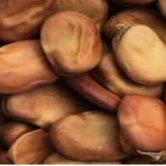 تصویر فروشگاه مواد غذایی دایی