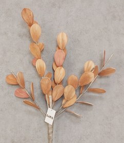 تصویر گل بلندر مدل کراسولا FL2414 برند ARSHITHOME 