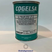 تصویر گریس Cogelsa LT-2 