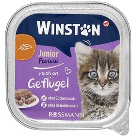 تصویر ووم گربه وینستون با طعم گوشت پرنده 100 گرم (بسته بندی جدید) Winston mit chicken 100gr