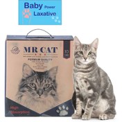 تصویر خاک گربه حاوی پودر بچه مستر کت 10 لیتری Mr Cat Babies 