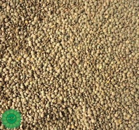 تصویر عدس ریز ۱ کیلوگرم 