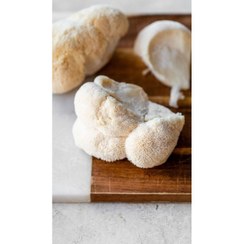 تصویر پودر قارچ یال شیر 