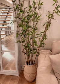 تصویر شاخه بامبو 