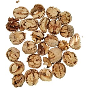 تصویر خرید گردو درجه یک ۱۴۰۴ 